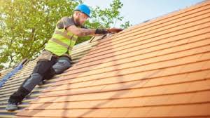 Best Roof Insulation Installation  in Baudette, MN