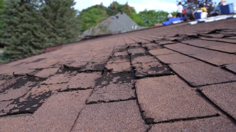 Best Roof Ventilation Installation  in Baudette, MN