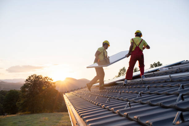 Best Roof Moss and Algae Removal  in Baudette, MN