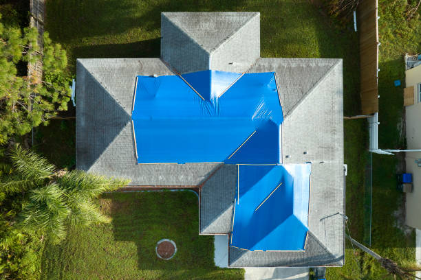 Best Cold Roofs  in Baudette, MN