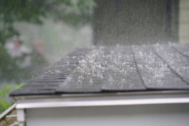 Best Solar Panel Roofing Installation  in Baudette, MN