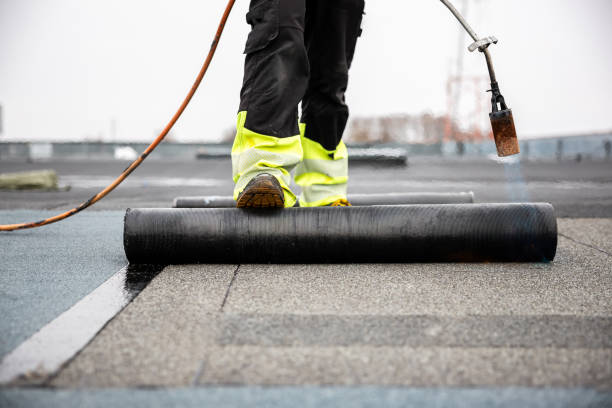 Best Hot Roofs  in Baudette, MN
